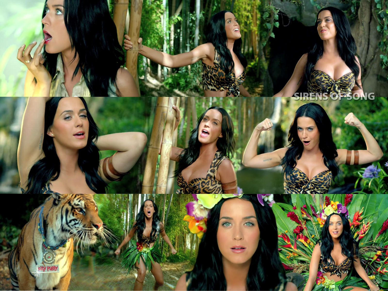 KatyPerry_Roar