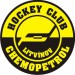 HOKEJ LITVÍNOV_logo